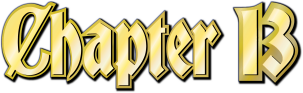 Chapter 13