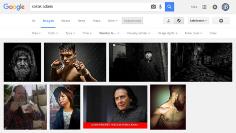 Results of the 'Visually Similar Images' link