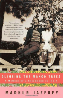 439-climbing-the-mango-trees