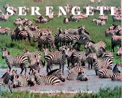 446-serengeti