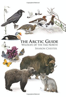 524-the-arctic-guide