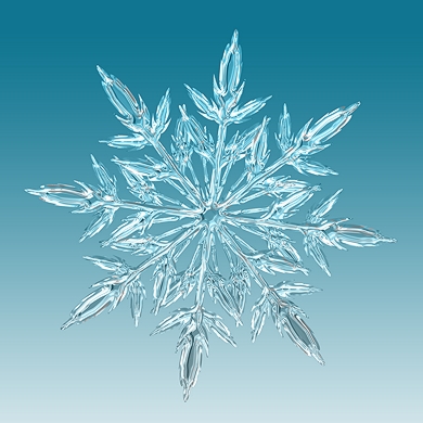 an ice crystal against a chilly pale blue background